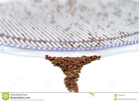 Jar with sprouting alfalfa stock image. Image of isolated - 17655145