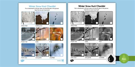 Winter Snow Hunt Checklist Professor Feito Twinkl