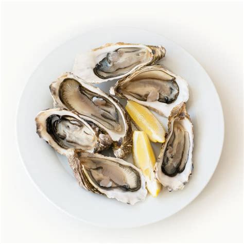 Fresh Oysters With Lemon Raw Fresh Oysters On White Round Plate Image Isolated With Soft