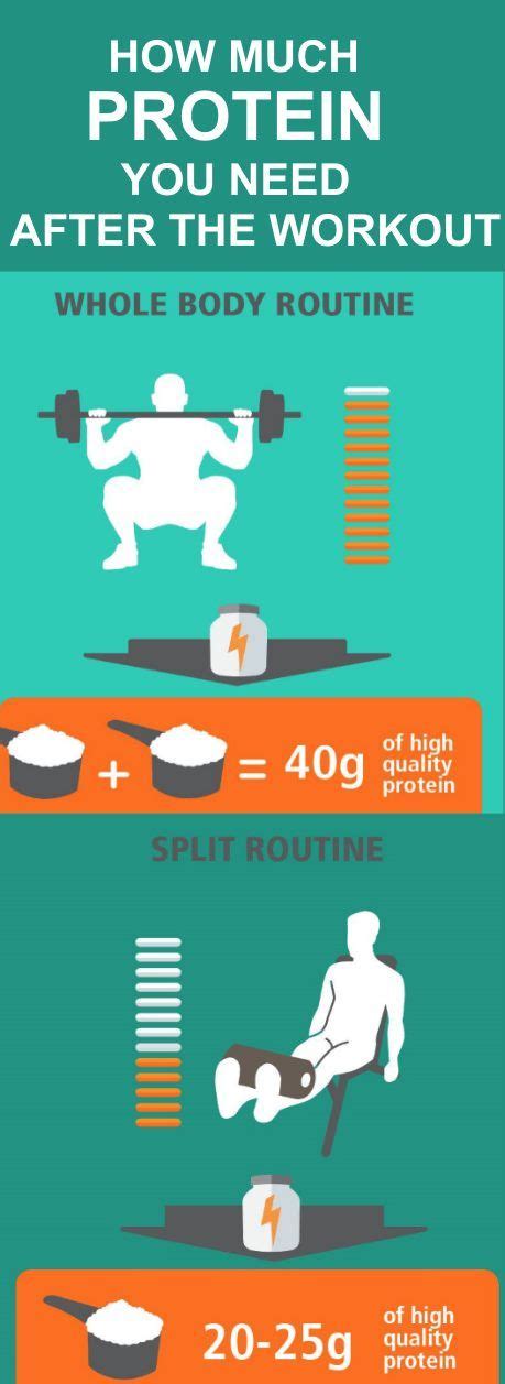 How Much Protein You Need After The Workout Fitness And Power