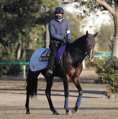 G1レースの注目激走馬中山11rホープフルステークス・g1 Umatoku 馬トク