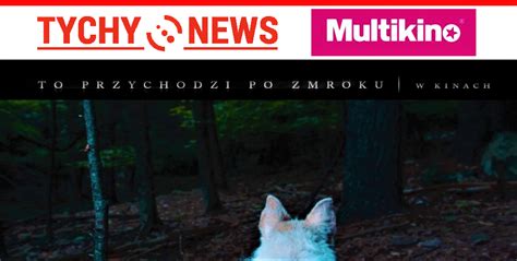 To Przychodzi Po Zmroku Premierowo W Tyskim Multikinie Tychy News