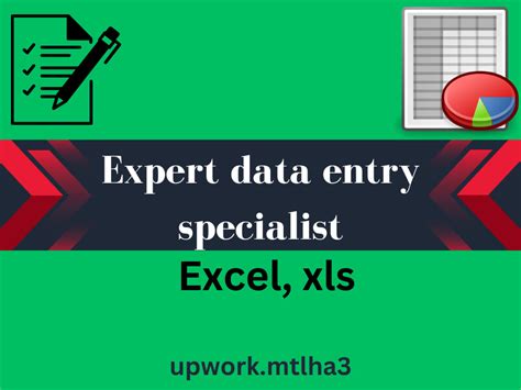 A Clean And Formatted Data Entry Assignment Upwork