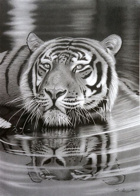 Amazing Pencil Drawings Of Nature - Drawing nature capture the beauty ...