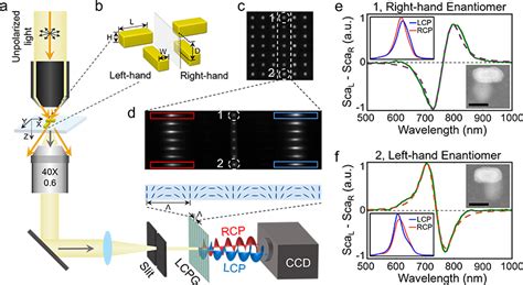 Snapshot Measurement Of Single Nanostructures Circular Dichroism