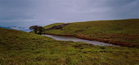 Treks in Wayanad