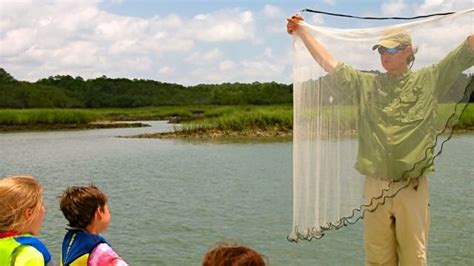 Castnetting And Shrimping