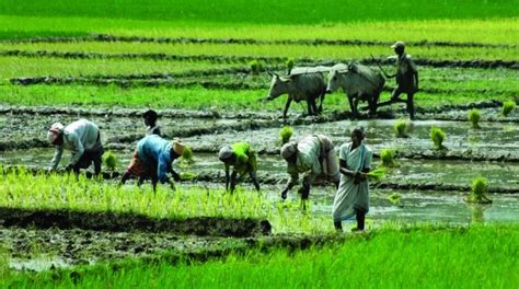 Gift Of The Bengal Left The Statesman