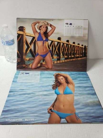 2008 2009 Baltimore Ravens Cheerleader Swimsuit Calendar Trice Auctions