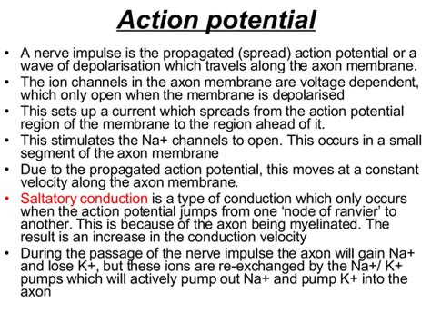 Nerve Impulse Ppt