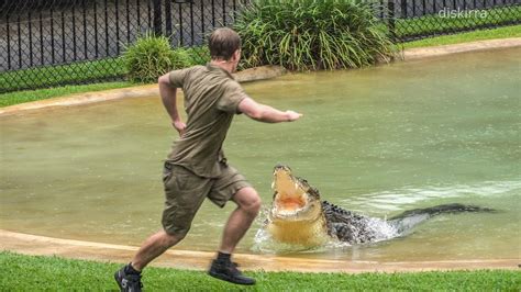 Robert Irwins 19th Birthday Croc Show Ft Scrappa Australia Zoo