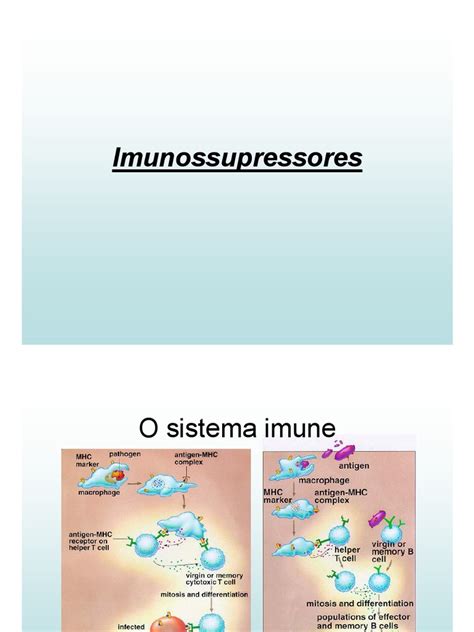 O Que E Imunossupressores - Imunossupressores | PDF | Imunossupressão | Cortisol