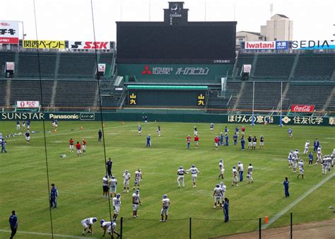 Sportsかんさい＋：臨時天然芝、sdgs 甲子園ボウル終了後、神戸で再利用 毎日新聞