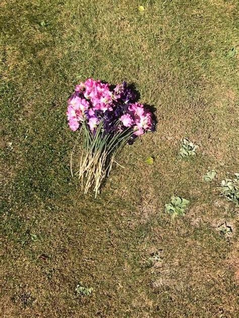 Row breaks out after woman claims here flowers were removed from lawn ...