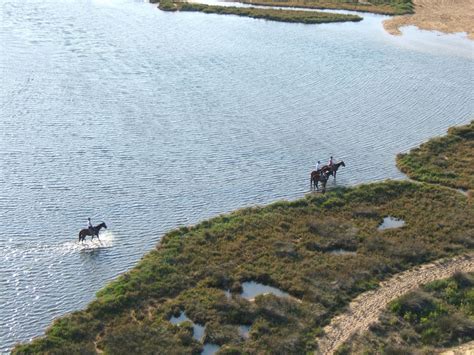 Lago Baratz Alghero Sardegna Sardegna Italia Sardegna Italia