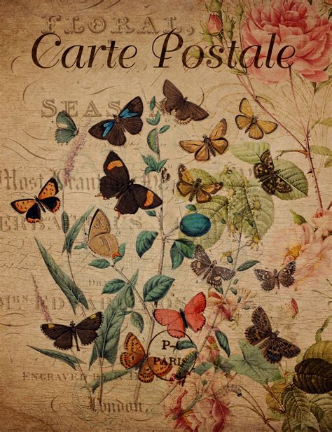 Butterflies Vintage Floral Postcard Free Stock Photo Public Domain