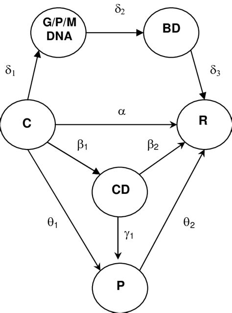 Structure Activity Relationship Sar And Property Activity