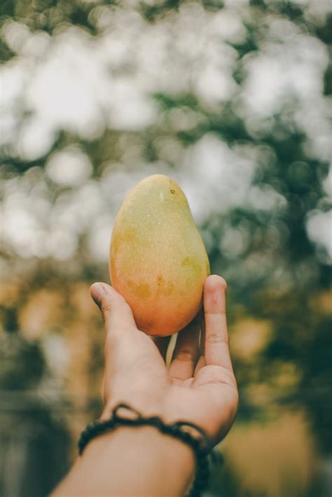 How To Tell If Mango Is Bad 7 Rotten Warning Signs