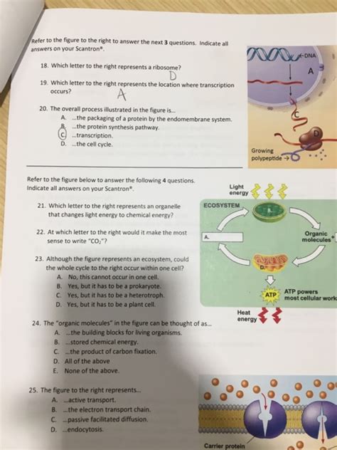 Solved Refer to the figures to answer the following 2 | Chegg.com 