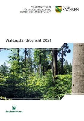 Waldzustandsbericht 2021 Publikationen Sachsen De