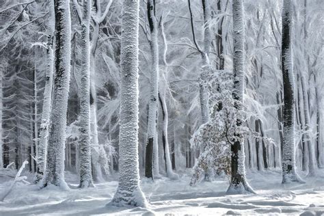 COLD IS COMING Winter LARS VAN DE GOOR Art Photographs YellowKorner