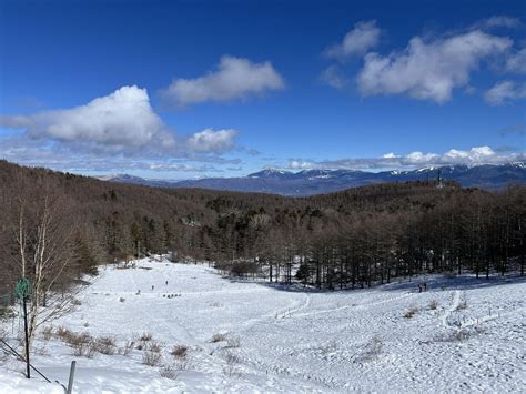 入笠山雪山体験コース🏔️ Shironaoさんの入笠山の活動データ Yamap ヤマップ