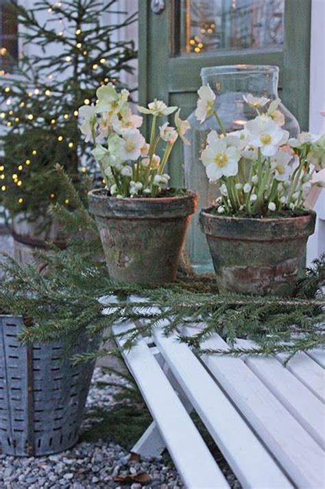 27 Most Beautiful Winter Garden Ideas That You Will Miss Now Homemydesign