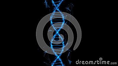 DNA Structure 3D Animation For Medical Research And Biology Genetic