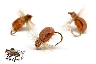 Realistic Cockchafer Beetle | ReelFlies