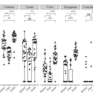 Figure Bacterial Quantification Log Copy Numbers By Species For Each