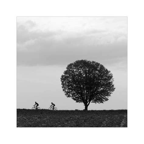 Ausfahrt Foto And Bild Erwachsene Pflanzen Pilze And Flechten Bäume