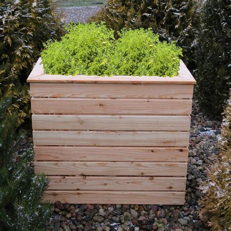 Shire Pia Larch Planter Wilko