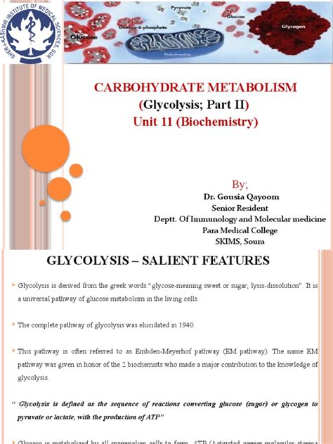 An Overview of Glycolysis: Salient Features and Entry of Glucose into ...