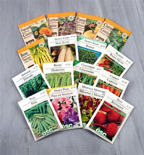 Osc Lettuce Seed Packets Seed Packets Lettuce Seeds Vegetable Seed