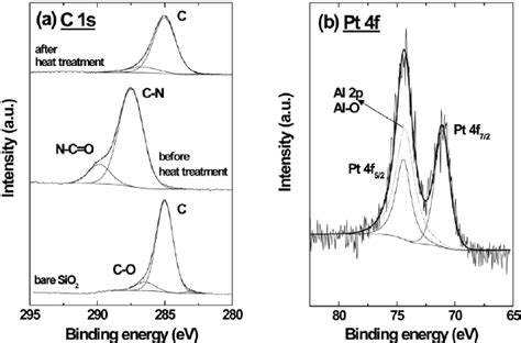 A Xps Spectra Of The Bare Sio 2 Self Assembled Monolayer Of Pt Np