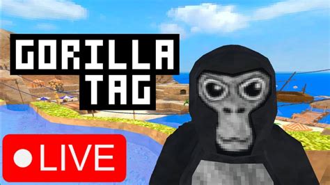 Gorilla Tag Live Minigames And More YouTube