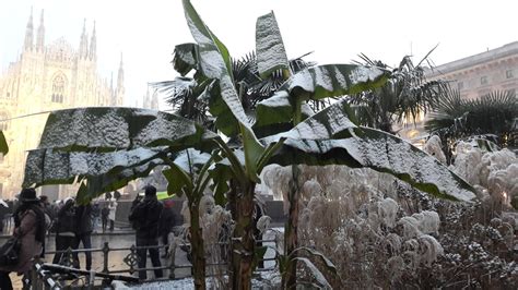 Maltempo In Lombardia Arrivata La Neve Fiocchi Bianchi Anche A Milano