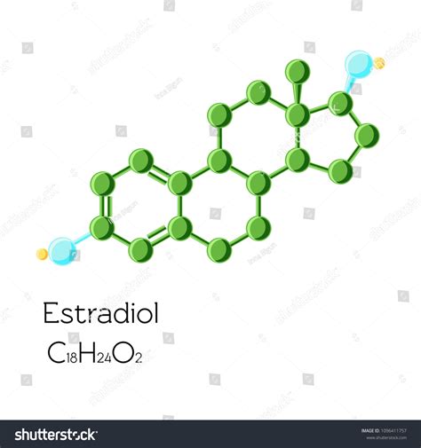 Estrogen Cartoon Images Stock Photos Vectors Shutterstock