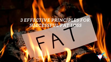 The 3 Key Principles For Effective Fat Loss Unlocking The Secrets To Success The Vidafit Blog