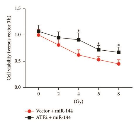 Restoration Of ATF2 Expression Inhibited MiR 144 5p Mediated