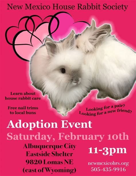 February 10th Abq Adoption Event New Mexico House Rabbit Society