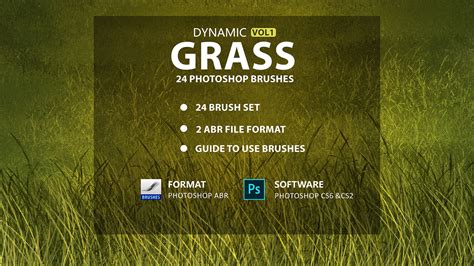 Artstation Grass Photoshop Brushes Ms Brushes Brushes