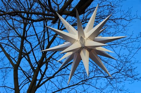 Premium Photo | Closeup of christmas star lights on a tree in the park