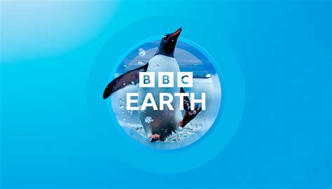 Bbc Earth Opens The Window To The World” With New Creative Rebrand