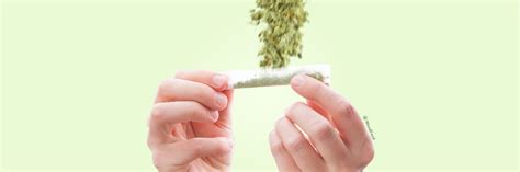 How To Roll a Cone Joint - WeedFeed