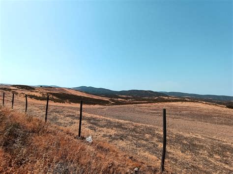 Como Pode O Baixo Alentejo Preparar Se Para Enfrentar Fen Menos Adversos