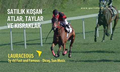 ercuement erguenay slider yaris dergisi