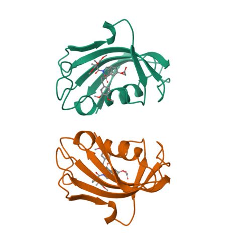RCSB PDB - 1BL4: FKBP MUTANT F36V COMPLEXED WITH REMODELED SYNTHETIC LIGAND
