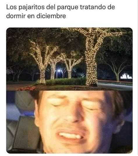 Los memes más divertidos para celebrar la llegada de la Navidad y