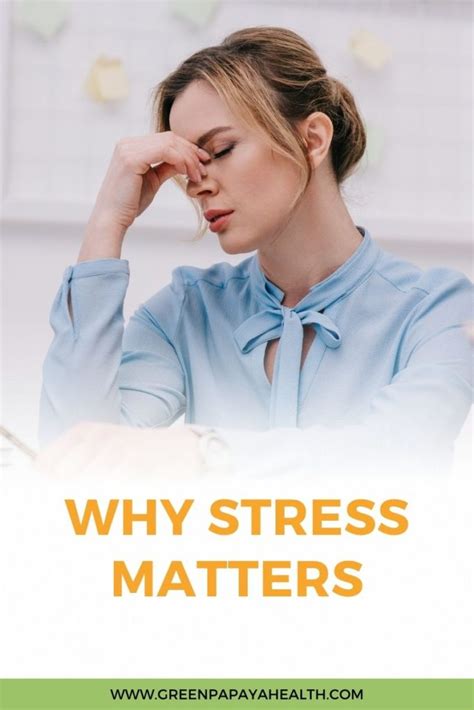 Why Stress Matters Green Papaya Health